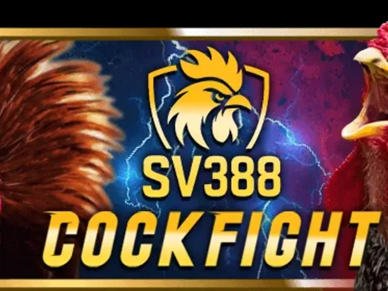 Hình ảnh Đá gà sun win